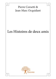 Les Histoires de deux amis