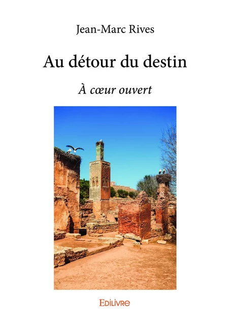 Au détour du destin - Jean-Marc Rives - Editions Edilivre