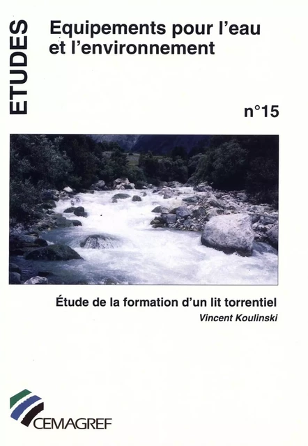 Étude de la formation d'un lit torrentiel - Vincent Koulinski - Quae