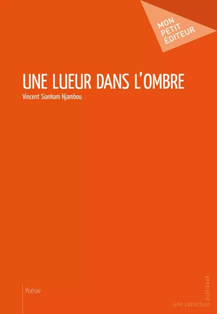 Une lueur dans l'ombre - Vincent Siankam Njambou - Mon Petit Editeur