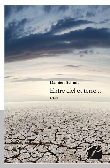 Entre ciel et terre... - Damien Schmit - Editions du Panthéon