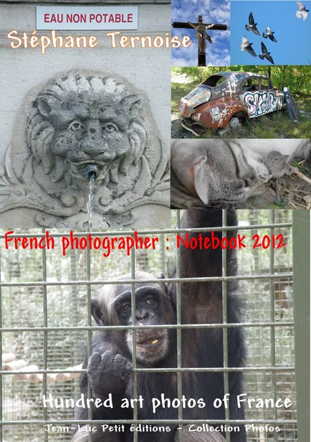 French photographer: Notebook 2012 - Stéphane Ternoise - Jean-Luc PETIT Editions