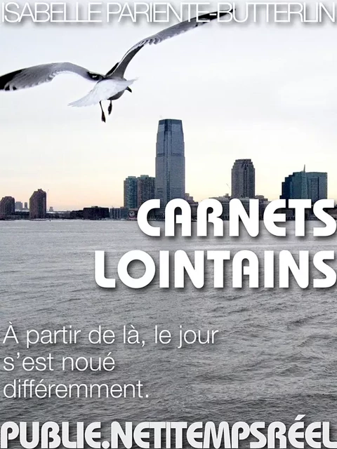 Carnets lointains - Isabelle Pariente-Butterlin - publie.net