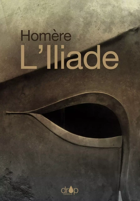 L’Iliade - Homère Homère - Les éditions Pulsio