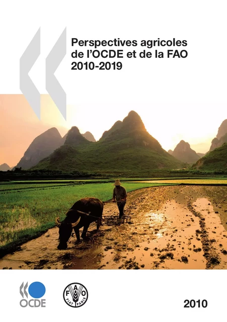 Perspectives agricoles de l'OCDE et de la FAO 2010 -  Collectif - OECD