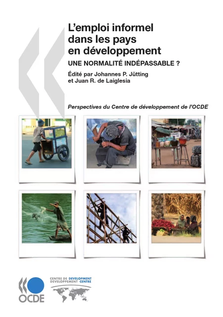 L'emploi informel dans les pays en développement -  Collectif - OECD