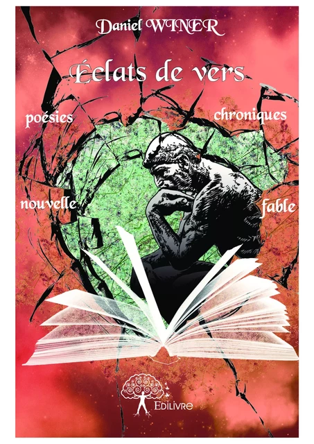 Éclats de vers - Daniel Winer - Editions Edilivre