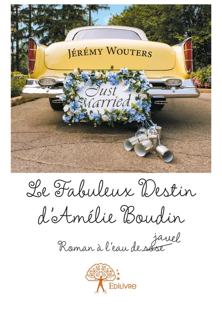 Le Fabuleux Destin d'Amélie Boudin - Jérémy Wouters - Editions Edilivre