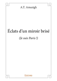 Éclats d'un miroir brisé