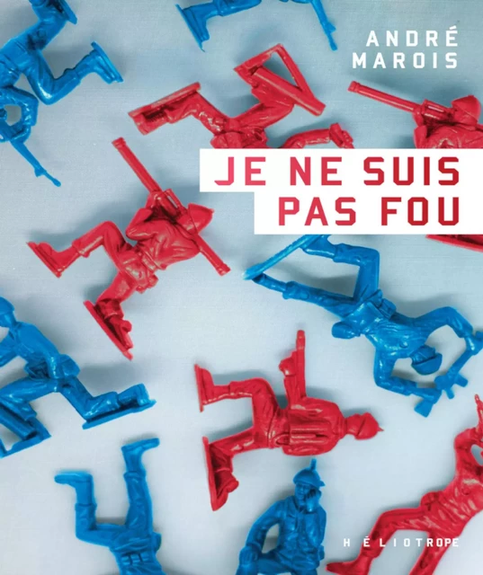 Je ne suis pas fou - André Marois - Éditions Héliotrope