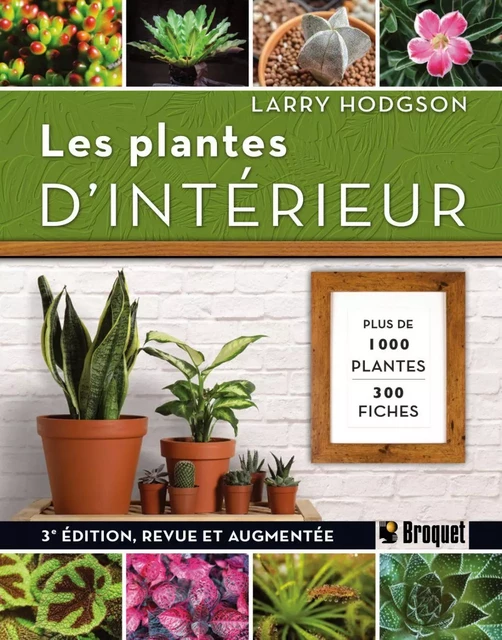 Les plantes d'intérieur 3e édition - Larry Hodgson - Broquet