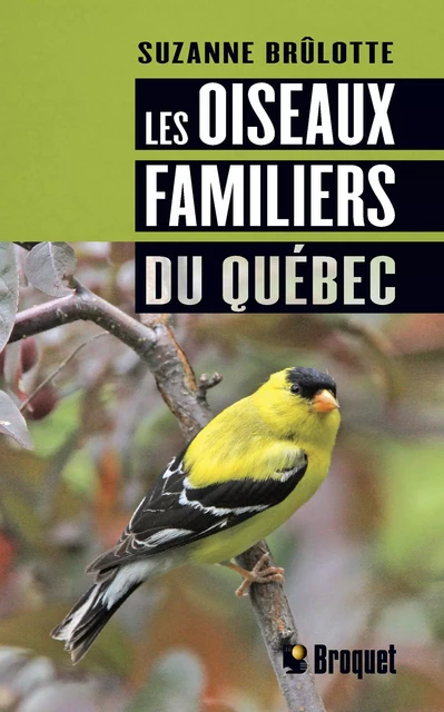 Les oiseaux familiers du Québec - Suzanne Brûlotte - Broquet