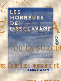 Les Horreurs de l'esclavage