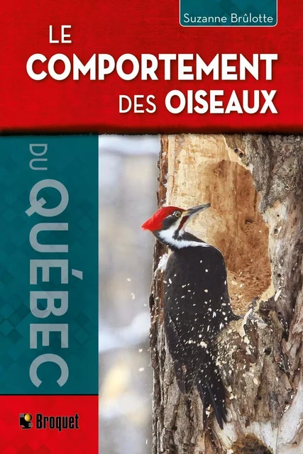 Le comportement des oiseaux - Suzanne Brûlotte - Broquet