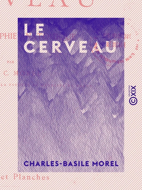 Le Cerveau - Charles-Basile Morel - Collection XIX