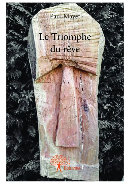 Le Triomphe du rêve - Paul Mayet - Editions Edilivre