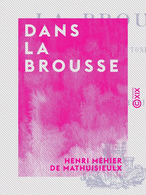 Dans la brousse - Henri Méhier de Mathuisieulx - Collection XIX