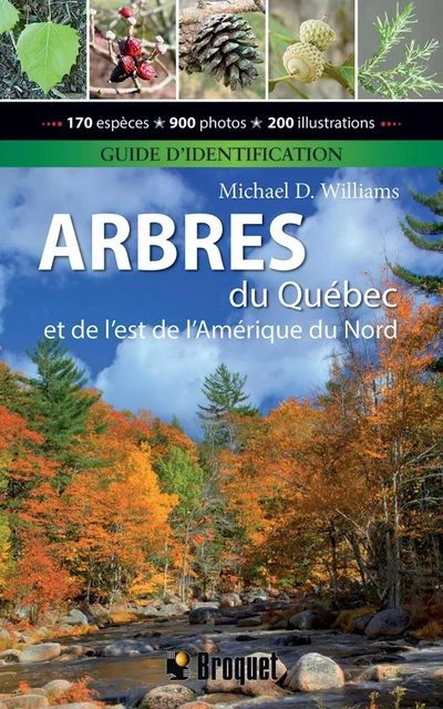 Arbres du Québec et de l'est de l'Amérique du Nord - Guide d'identification - Michael D. Williams - Broquet