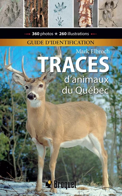 Traces d'animaux du Québec - Guide d'identification - Mark Elbroch - Broquet