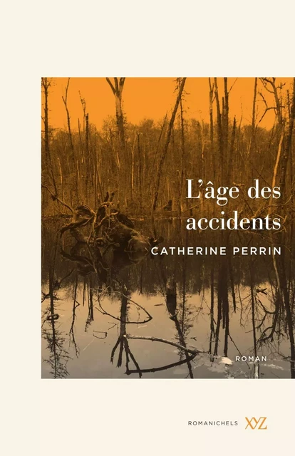 L'âge des accidents - Catherine Perrin - Éditions XYZ