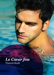 Le Cœur fou (roman gay)