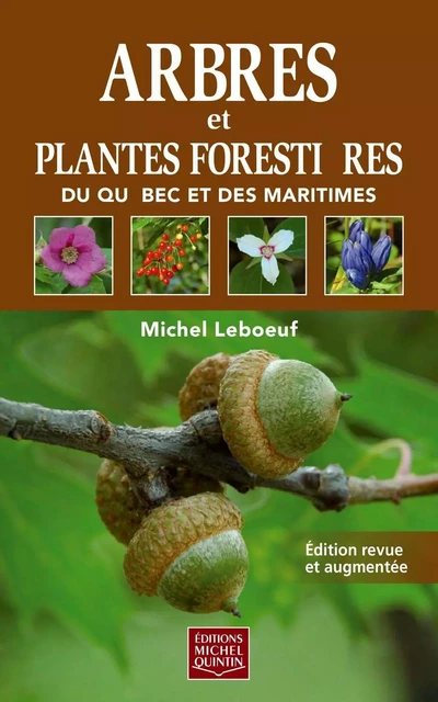 Arbres et plantes forestières du Québec et des Maritimes - Réédition - Michel Leboeuf - Éditions Michel Quintin