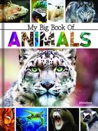 My Big Book of Animals