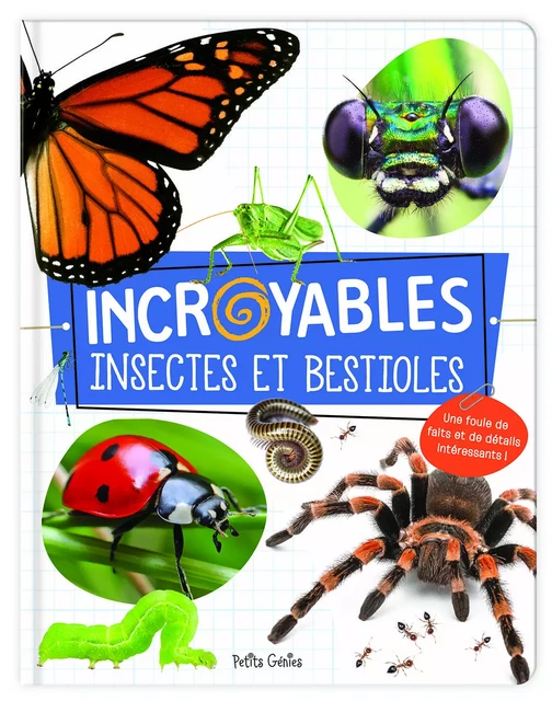 Incroyables insectes et bestioles - Claire Chabot, Danielle Robichaud - Petits Génies