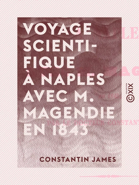 Voyage scientifique à Naples avec M. Magendie en 1843 - Constantin James - Collection XIX