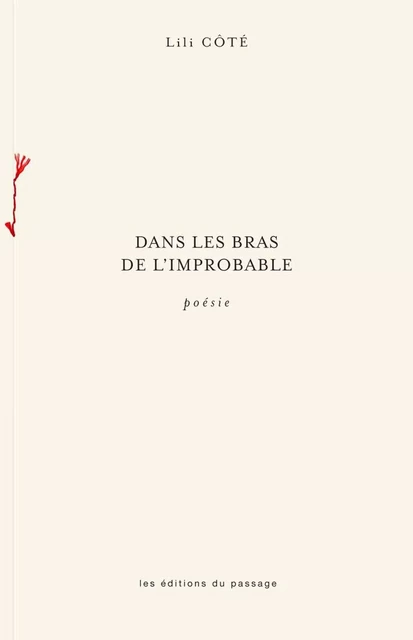 Dans les bras de l'improbable -  Lili Côté - Du Passage