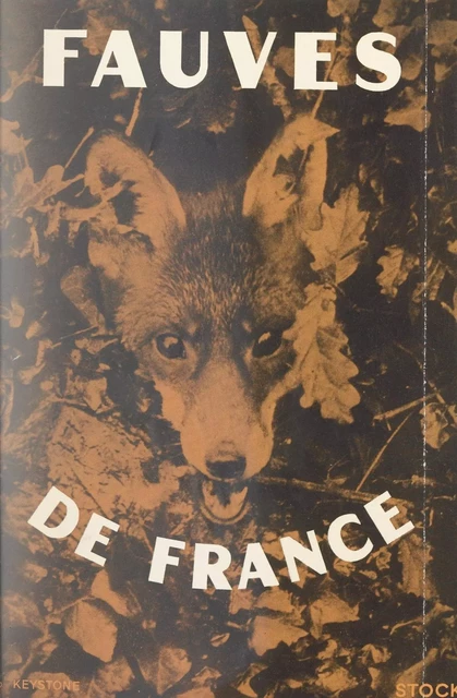 Fauves de France - Jean-Émile Benech - Stock (réédition numérique FeniXX)