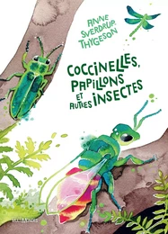 Coccinelles, papillons et autres insectes