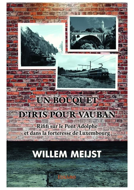 Un bouquet d'iris pour Vauban - Willem Meijst - Editions Edilivre