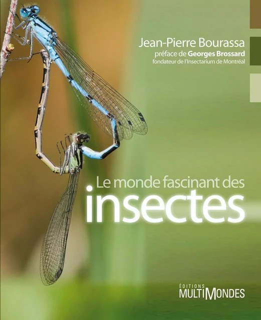 Le monde fascinant des insectes - Jean-Pierre Bourassa - Éditions MultiMondes