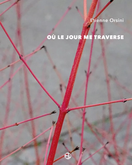 Où le jour me traverse - Etienne Orsini - L'Esprit de la Lettre