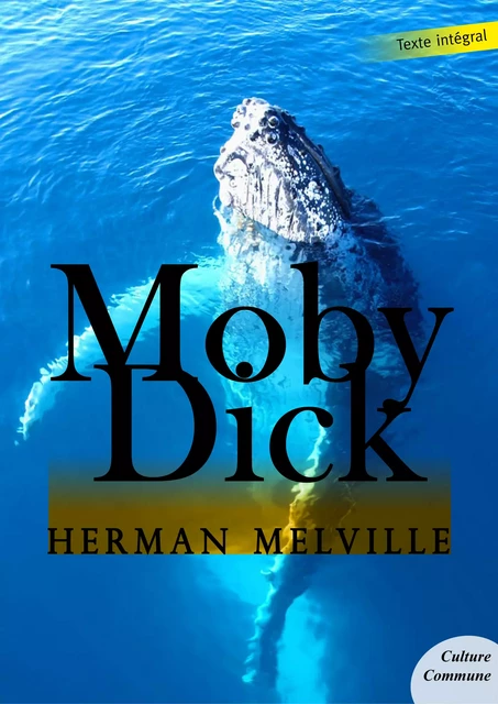 Moby Dick - Herman Melville - Culture commune