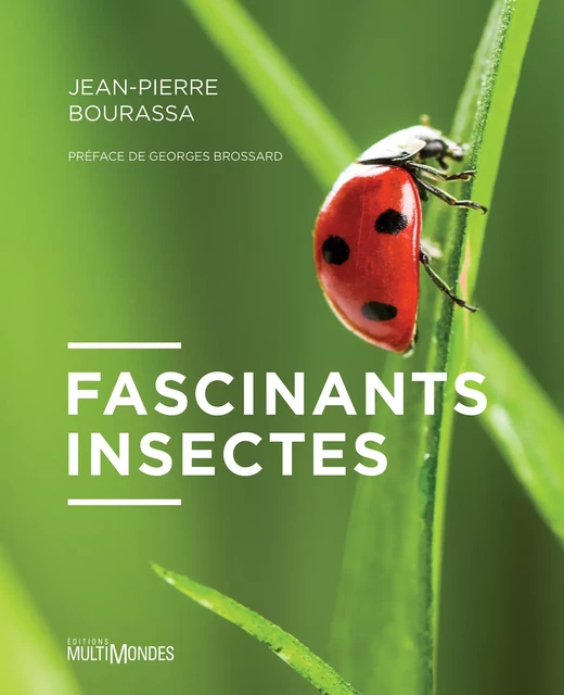 Fascinants insectes - Jean-Pierre Bourassa - Éditions MultiMondes