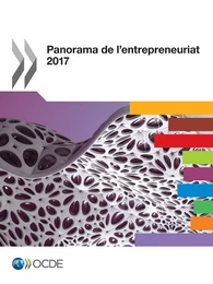 Panorama de l'entrepreneuriat 2017