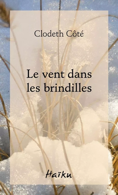 Le vent dans les brindilles - Clodeth Côté - Éditions David