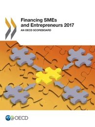 Financing SMEs and Entrepreneurs 2017