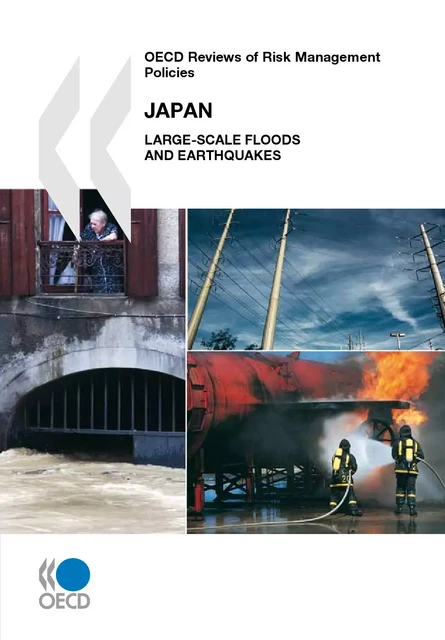 OECD Reviews of Risk Management Policies: Japan 2009 -  Collective - OECD