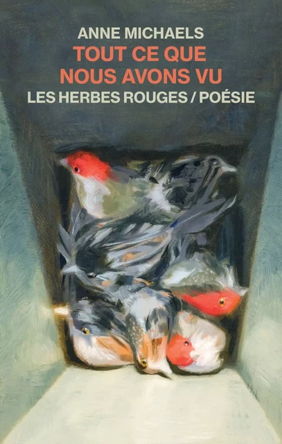 Tout ce que nous avons vu - Anne Michaels - Les Herbes Rouges