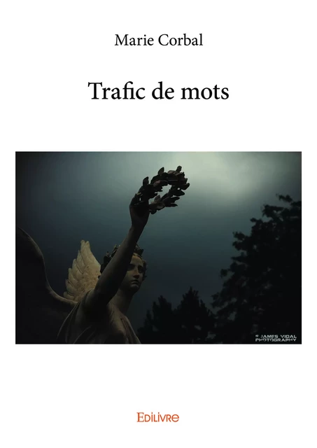 Trafic de mots - Marie Corbal - Editions Edilivre