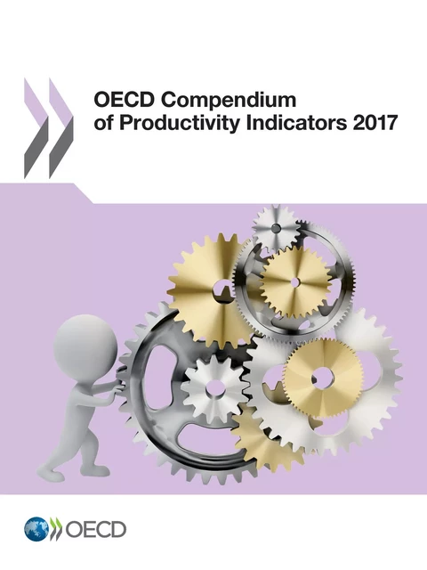 OECD Compendium of Productivity Indicators 2017 -  Collectif - OECD