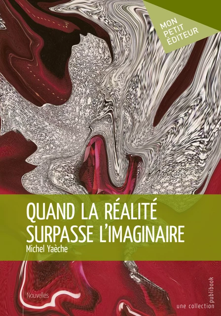 Quand la réalité surpasse l'imaginaire - Michel Yaèche - Mon Petit Editeur