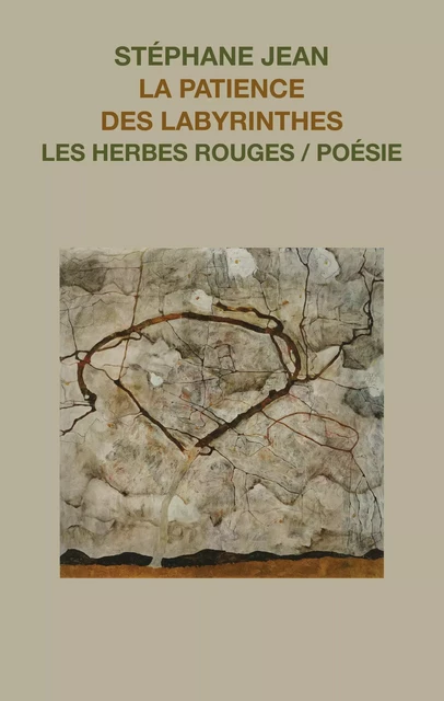 La patience des labyrinthes - Stéphane Jean - Les Herbes Rouges