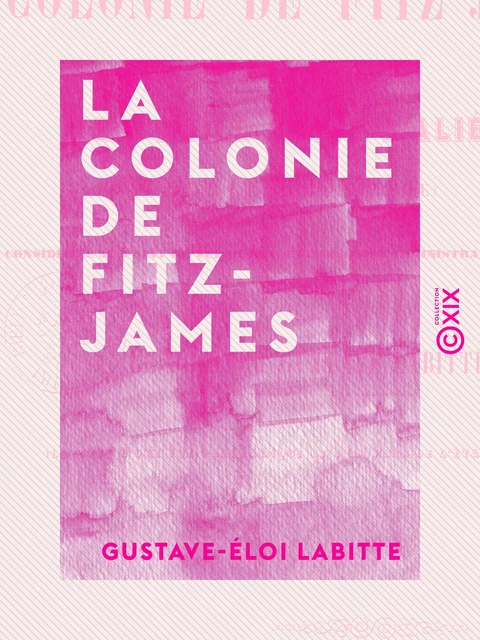 La Colonie de Fitz-James - Succursale de l'asile privé d'aliénés de Clermont (Oise) - Gustave-Éloi Labitte - Collection XIX