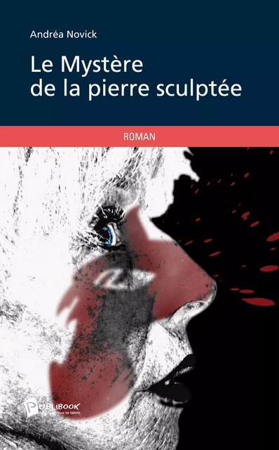 Le Mystère de la pierre sculptée - Andrea Novick - Publibook