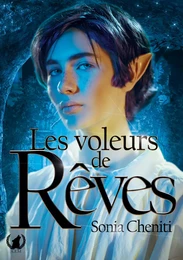 Les voleurs de rêves