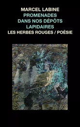 Promenades dans nos dépôts lapidaires